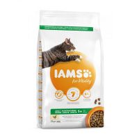 IAMS Adult chicken - 3kg