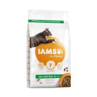 IAMS Adult salmon - 3kg