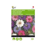 Juffertje-in-het-groen - afbeelding 1