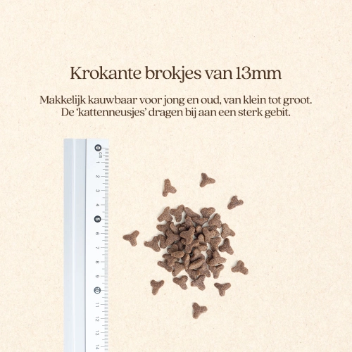Vital Style Kat - Blaasgruis 3,5kg - afbeelding 5