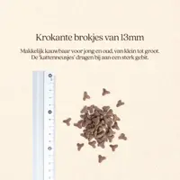 Vital Style Kat - Blaasgruis 3,5kg - afbeelding 5