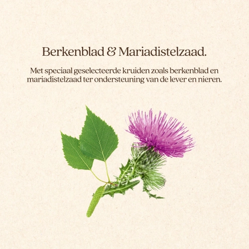Kat care 4kg - afbeelding 2