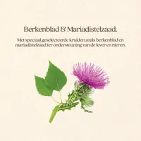 Kat care 4kg - afbeelding 2