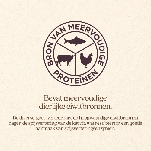 Kat senior 1,5kg - afbeelding 4
