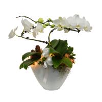 Kerstarrangement Balletto - afbeelding 1