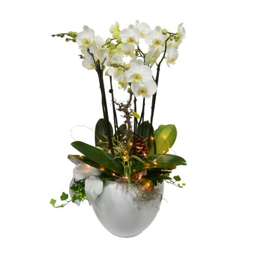 Kerstarrangement Maistro - afbeelding 1