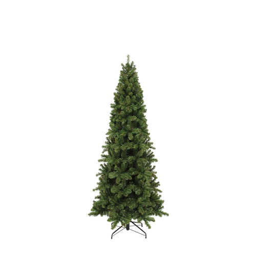 Kerstboom Pencil Pine ↕ 260 cm ↔ 117 cm - afbeelding 1