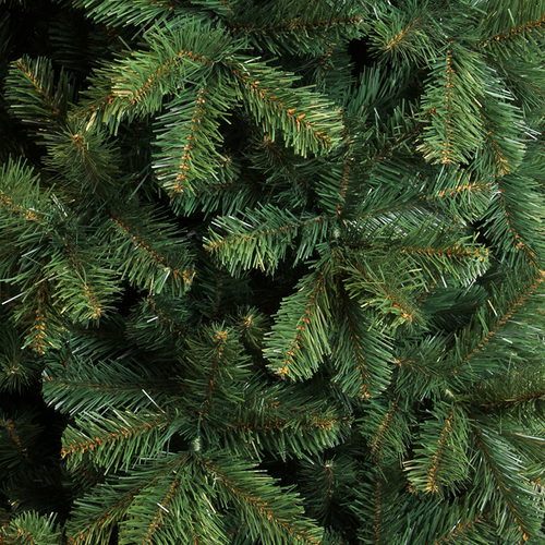 Kerstboom Pencil Pine ↕ 260 cm ↔ 117 cm - afbeelding 2