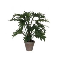 Kunstplant Philodendron selloum 50cm