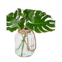Monstera blad