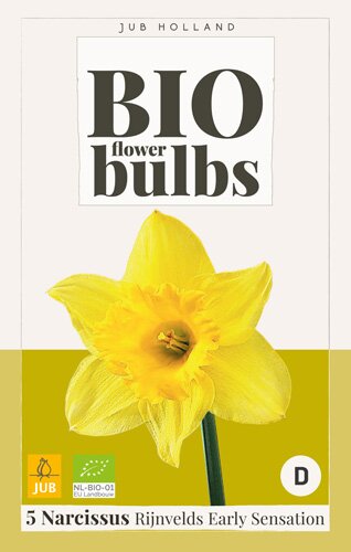 Narcissus rijn. early sens. - bio
