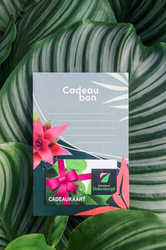 Ockenburgh cadeaukaart 20,- - afbeelding 3