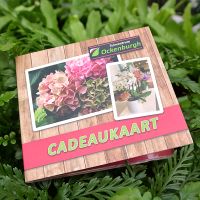 Ockenburgh cadeaukaart 30,- - afbeelding 2