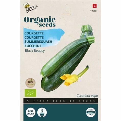 Organic courgette black beauty 2g - afbeelding 1
