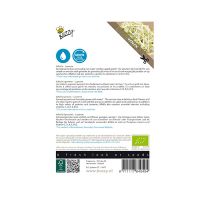 Organic Sprouting Alfalfa - afbeelding 2