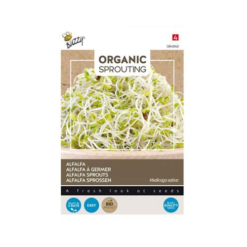 Organic Sprouting Alfalfa - afbeelding 1