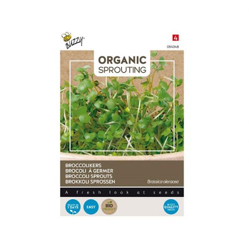Organic Sprouting Broccolikers - afbeelding 1
