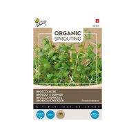 Organic Sprouting Broccolikers - afbeelding 1