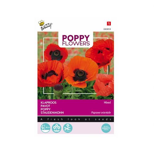 Poppy Flowers klaproos - afbeelding 1