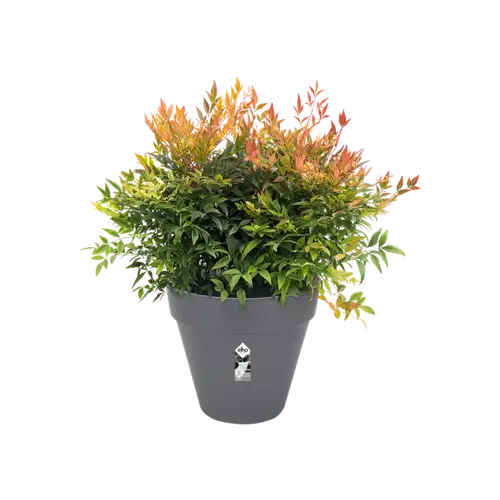 Pot loft urban d25cm antraciet - afbeelding 2