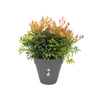 Pot loft urban d25cm antraciet - afbeelding 2