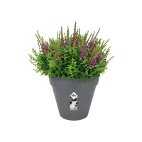 Pot loft urban d30cm antraciet - afbeelding 2