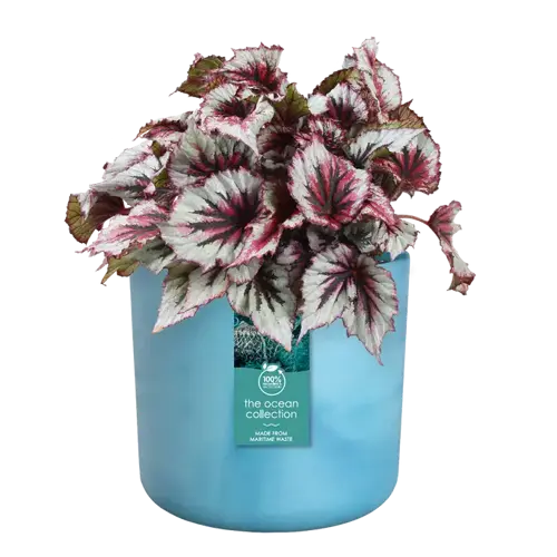 Pot the ocean collection Ø14cm atlantisch blauw - afbeelding 3