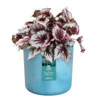 Pot the ocean collection Ø14cm atlantisch blauw - afbeelding 3