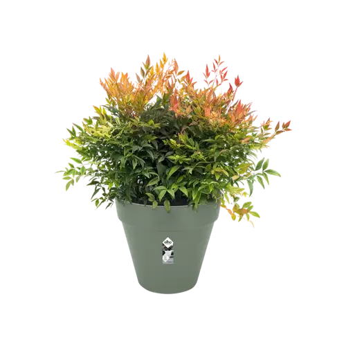 Pot+wiel loft urban d40cm pisatche groen - afbeelding 3