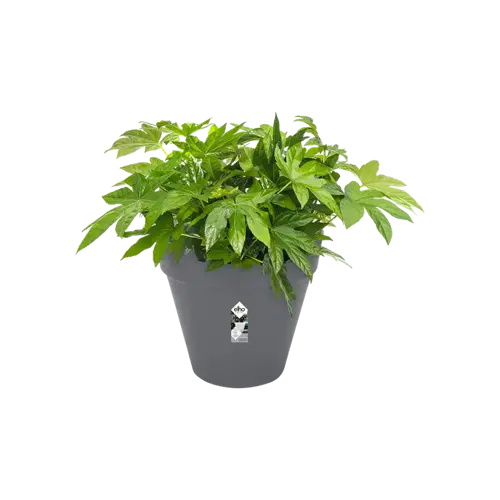 Pot+wiel loft urban d50cm antrct - afbeelding 2