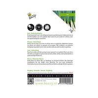 Prei Zwitserse reuzen - afbeelding 2