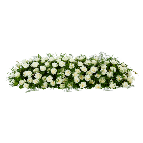 Pure rozen - Middel