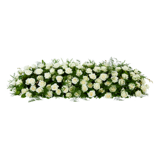 Pure rozen