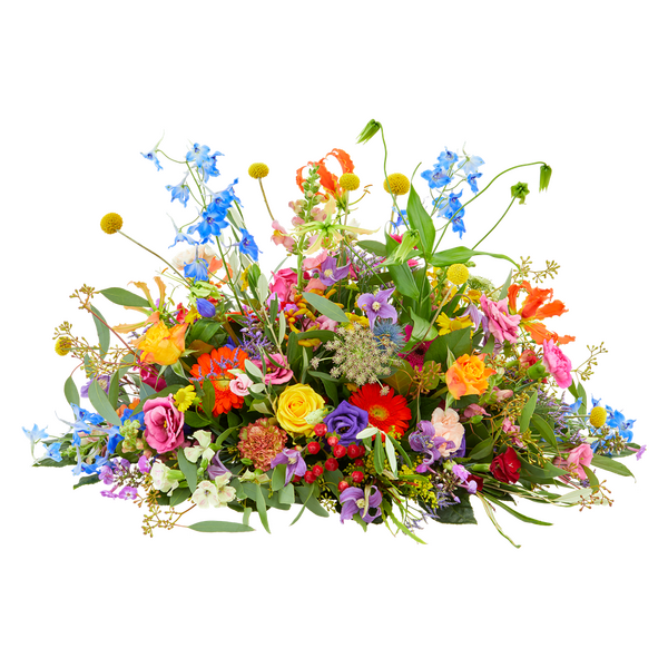 Rijke kleuren ovaal - Klein