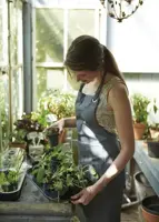 Schotel kweektray L zwart - afbeelding 3