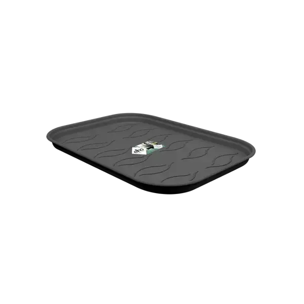 Schotel kweektray L zwart - afbeelding 1