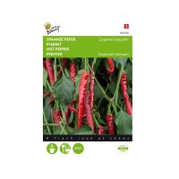 Spaanse peper cayenne long slim - afbeelding 1