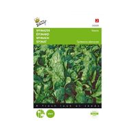 Spinazie Nores - afbeelding 1
