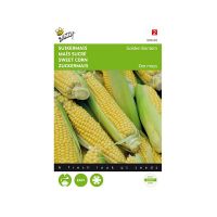 Suikermais Golden Bantam - afbeelding 1