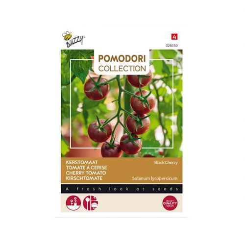 Tomaat black cherry - afbeelding 1