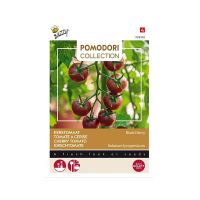 Tomaat black cherry - afbeelding 1