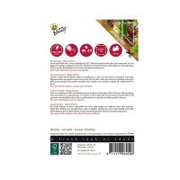 Tomaat black cherry - afbeelding 2