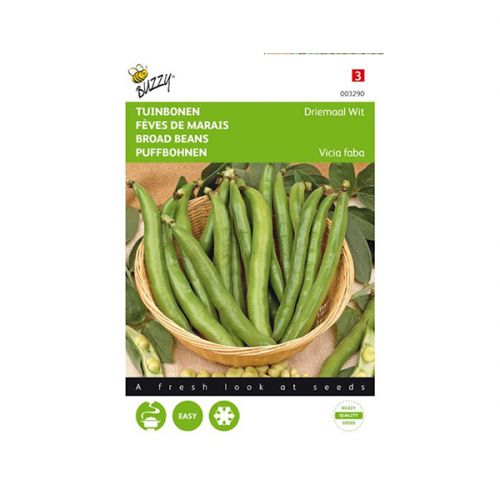 Tuinboon driemaal wit - afbeelding 1