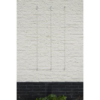 Clematis V - Schaduw - Draadset - afbeelding 5