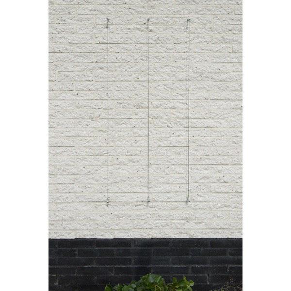 Clematis M - Zon - Draadset - afbeelding 6