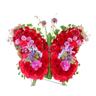Vlinder van liefde