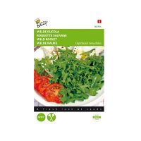 Wilde Rucola - afbeelding 1