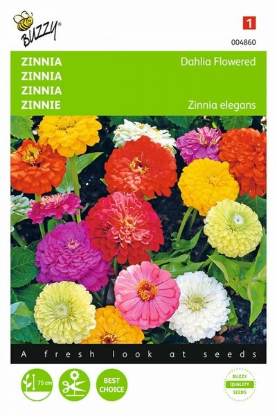Zinnia elegans dubbel dahliabl 1.5g - afbeelding 1