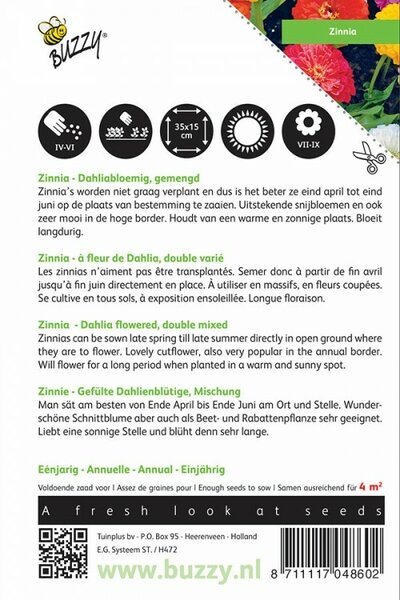 Zinnia elegans dubbel dahliabl 1.5g - afbeelding 2